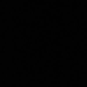 Meet your Posher, Max